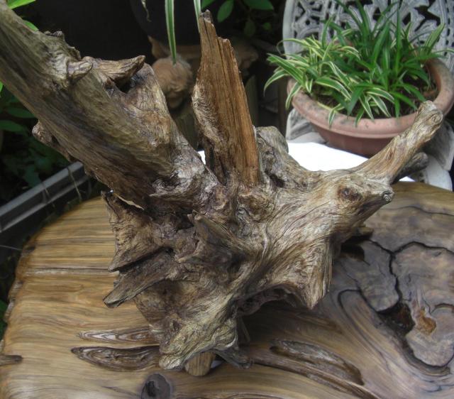 u/R؃RNVÖؒuuZbgÕi!!0501  CeA/Ct 