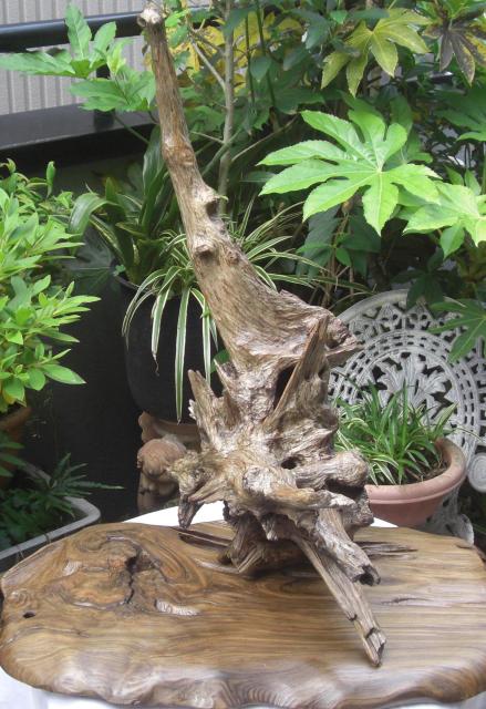 u/R؃RNVÖؒuuZbgÕi!!0501  CeA/Ct 