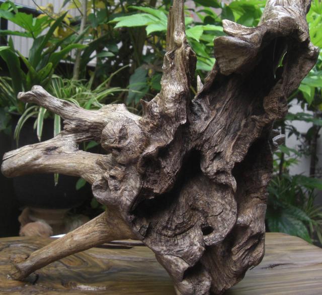 u/R؃RNVÖؒuuZbgÕi!!0501  CeA/Ct 