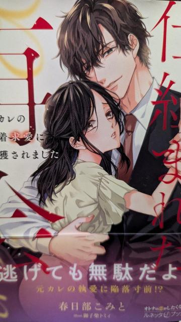 dg܂ꂽĉt݂Ɓlb^ubNX   {/G 