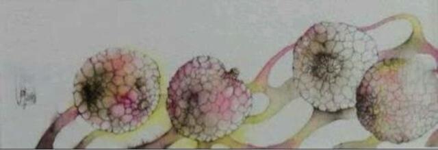 G ʉ cFIqwC`x^Mۏ   zr[ 