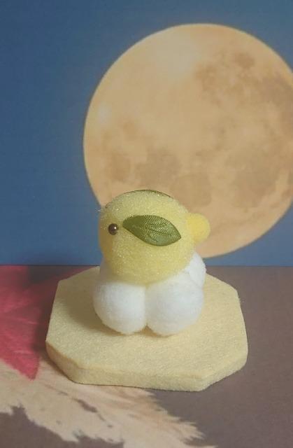 nhChJbv!||aَqwcqx  ybg/|/| 