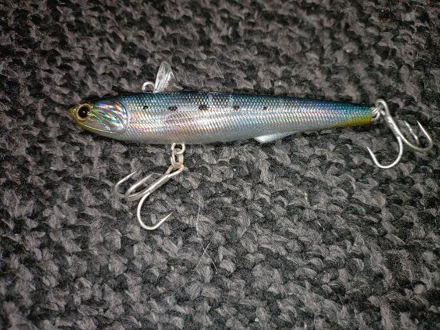 タックルハウスTackleHouse  ローリングベイト88 24G イワシ系  ルアー  シーバス  海  港  湾  釣具 < レジャー/スポーツ  タックルハウスTackleHouse  ローリングベイト88 24G イワシ系  ルアー  シーバス  海  港  湾  釣具  < レジャー/スポーツの