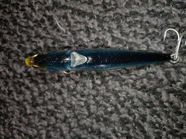 タックルハウスTackleHouse  ローリングベイト88 24G イワシ系  ルアー  シーバス  海  港  湾  釣具 < レジャー/スポーツ  タックルハウスTackleHouse  ローリングベイト88 24G イワシ系  ルアー  シーバス  海  港  湾  釣具 < レジャー/スポーツの