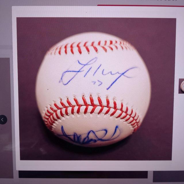 MLB公式球 イチロー&ホセ・アルトゥーベ直筆Wサインボール JSA鑑定済 < レジャー/スポーツ MLB公式球 イチロー&ホセ・アルトゥーベ直筆Wサインボール JSA鑑定済 < レジャー/スポーツの