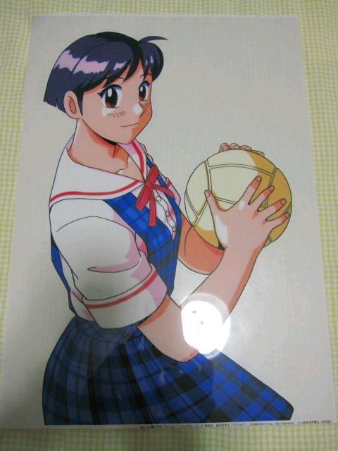 gD[EuXg[[ZyuL̂݁v   Q[{/\tg 