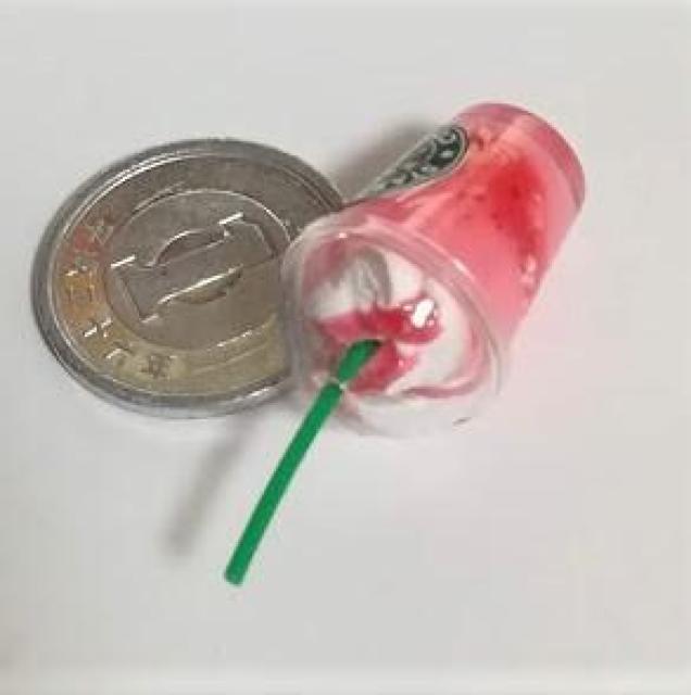 ~j`AX^[obNXW聚C`SX[W[h[nEXɁ   