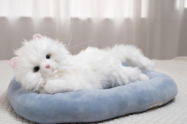 Ȃ̃p[gi[V[Y ۂӂӂ ܂ڂ q˂ qL^ybg{bg Lbg Lyߋzydiz  ybg/|/| 