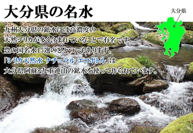 【40本】525ml 高濃度シリカ水 天然水 ラベルレス 九州産 < グルメ/ドリンク  【40本】525ml 高濃度シリカ水 天然水 ラベルレス 九州産 < グルメ/ドリンクの
