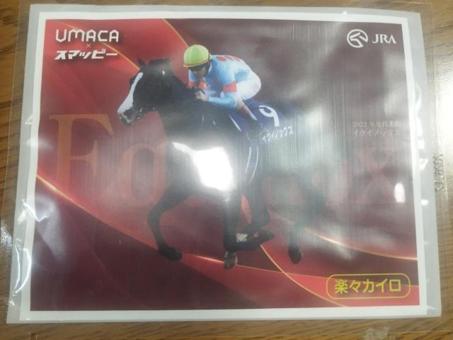 JRA 日本中央競馬会 イクイノックス C.ルメール騎手 使い捨てカイロ 非売品 < ホビー  JRA 日本中央競馬会 イクイノックス C.ルメール騎手 使い捨てカイロ 非売品  < ホビーの