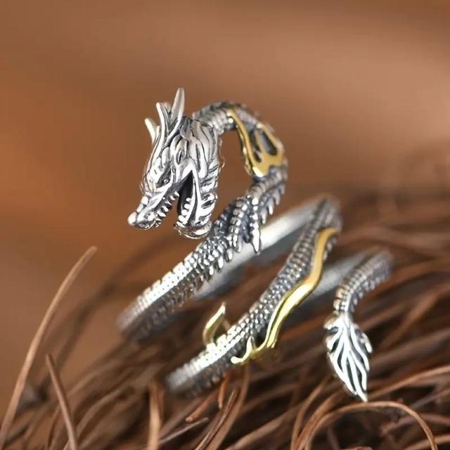 ʒ񋟕i490~`[tOAhfUCAJAjp t[TCY  jANZT[/v 