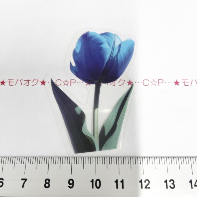 �`���[���b�v�̃R���[�W���V�[���@350  �� �C���e���A/���C�t�� 