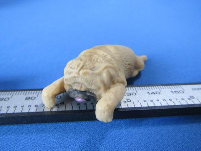 GIW[ 1/6XP[ ~j`A tBMAߋ pO Pug  Z@ Zт̏^̃tMA  zr[ 