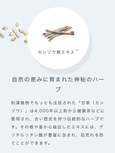 IL̂ꂢLtFCXpbNӂӂ픧  /RX/lC 