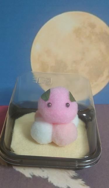 nhChJbvI||aَqwgcqxg  ybg/|/| 