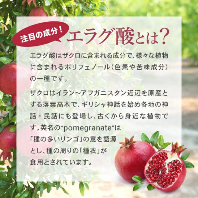 AFC 肥満気味の方の脂肪減少をサポート エラグ酸 サプリ 30日分 ×3袋 < ヘルス/ビューティー AFC 肥満気味の方の脂肪減少をサポート エラグ酸 サプリ 30日分 ×3袋 < ヘルス/ビューティーの