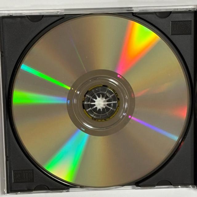 RICHIE SAMBORA / UNDISCOVERED SOUL < CD/DVD/ビデオ RICHIE SAMBORA / UNDISCOVERED SOUL < CD/DVD/ビデオの