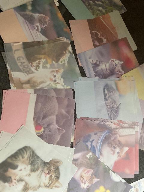 ♯未使用♯レターセット ねこちゃん 12柄 &リボン チェック  2点セット < インテリア/ライフ  ♯未使用♯レターセット ねこちゃん 12柄 &リボン チェック  2点セット < インテリア/ライフの