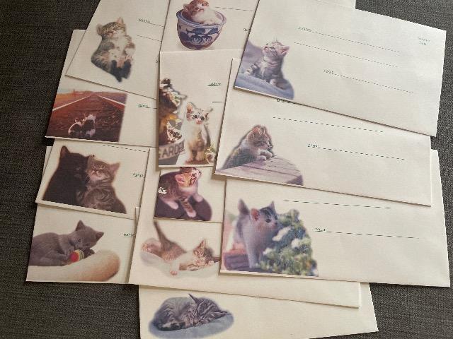 ♯未使用♯レターセット ねこちゃん 12柄 &リボン チェック  2点セット < インテリア/ライフ  ♯未使用♯レターセット ねこちゃん 12柄 &リボン チェック  2点セット < インテリア/ライフの