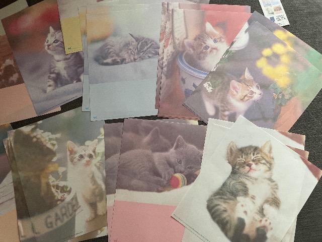 ♯未使用♯レターセット ねこちゃん 12柄 &リボン チェック  2点セット < インテリア/ライフ  ♯未使用♯レターセット ねこちゃん 12柄 &リボン チェック  2点セット < インテリア/ライフの