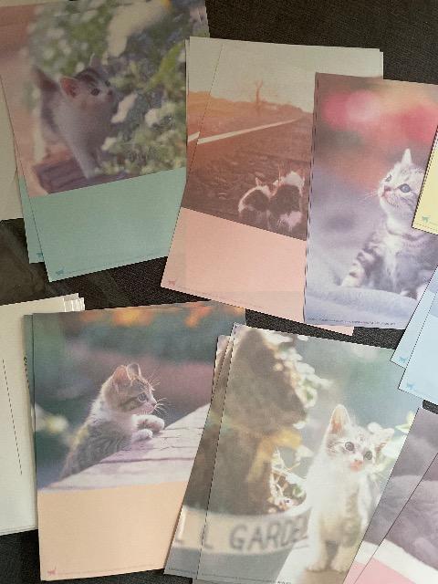 ♯未使用♯レターセット ねこちゃん 12柄 &リボン チェック  2点セット < インテリア/ライフ  ♯未使用♯レターセット ねこちゃん 12柄 &リボン チェック  2点セット < インテリア/ライフの