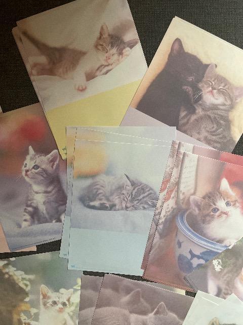 ♯未使用♯レターセット ねこちゃん 12柄 &リボン チェック  2点セット < インテリア/ライフ  ♯未使用♯レターセット ねこちゃん 12柄 &リボン チェック  2点セット < インテリア/ライフの