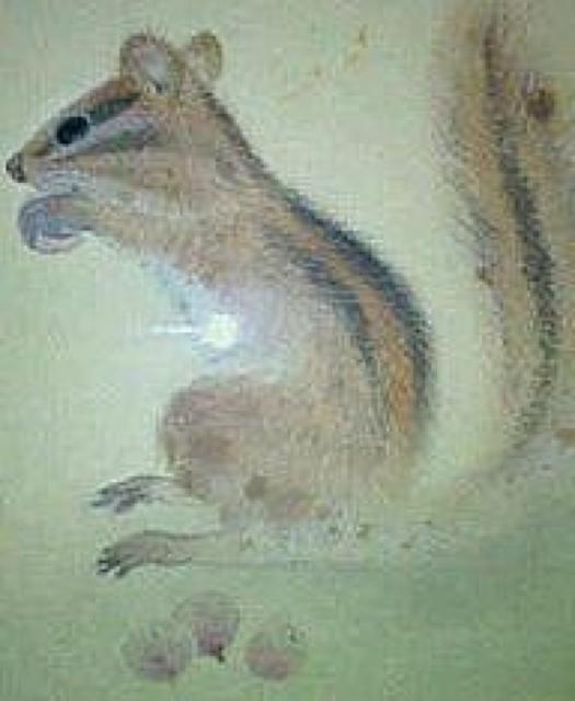 絵画 日本画 森戸国次『爽朝図』真作保証 原画 < ホビー 絵画 日本画 森戸国次『爽朝図』真作保証 原画 < ホビーの