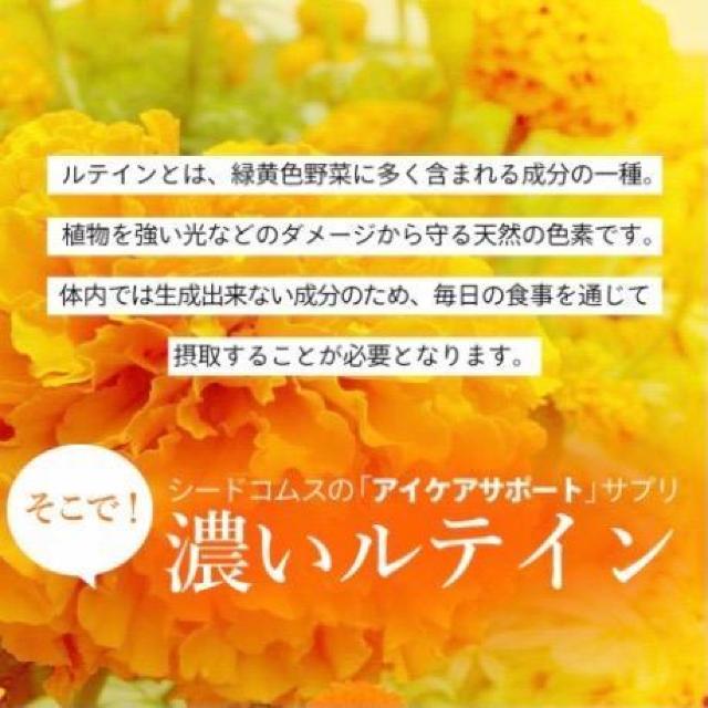 濃いルテイン サプリメント 約3ヵ月分 アイケア えごま油 亜麻仁油 < グルメ/ドリンク  濃いルテイン サプリメント 約3ヵ月分 アイケア えごま油 亜麻仁油 < グルメ/ドリンクの