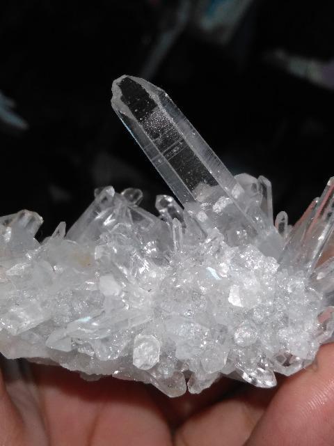 �q�}�����������~�j�N���X�^�[�@  �� �C���e���A/���C�t�� 