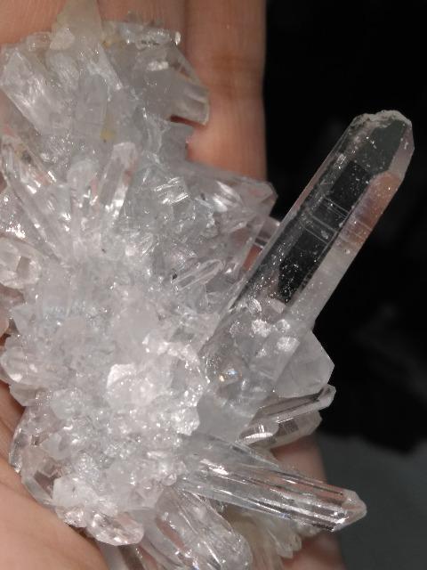 �q�}�����������~�j�N���X�^�[�@ �� �C���e���A/���C�t�� 