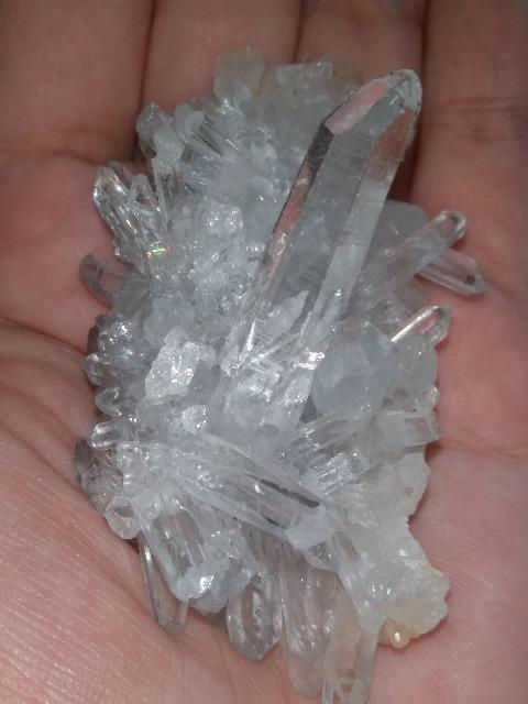 �q�}�����������~�j�N���X�^�[�@ �� �C���e���A/���C�t�� 