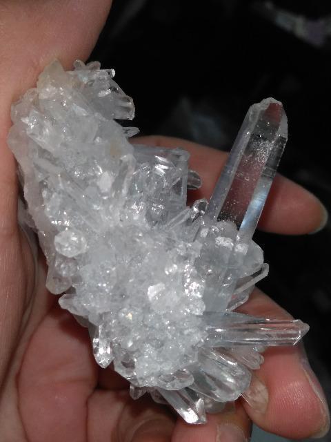 �q�}�����������~�j�N���X�^�[�@ �� �C���e���A/���C�t�� 