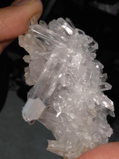 �q�}�����������~�j�N���X�^�[�@ �� �C���e���A/���C�t�� 