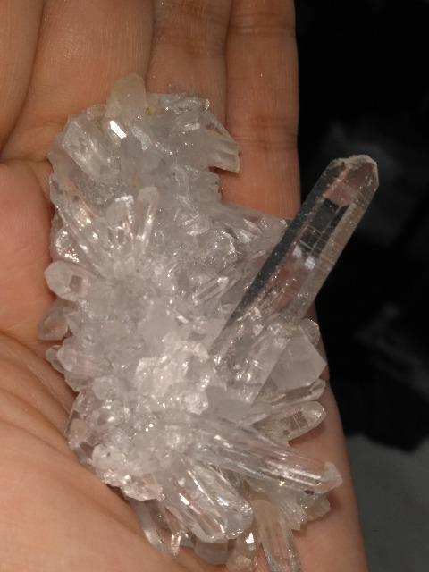 �q�}�����������~�j�N���X�^�[�@ �� �C���e���A/���C�t�� 