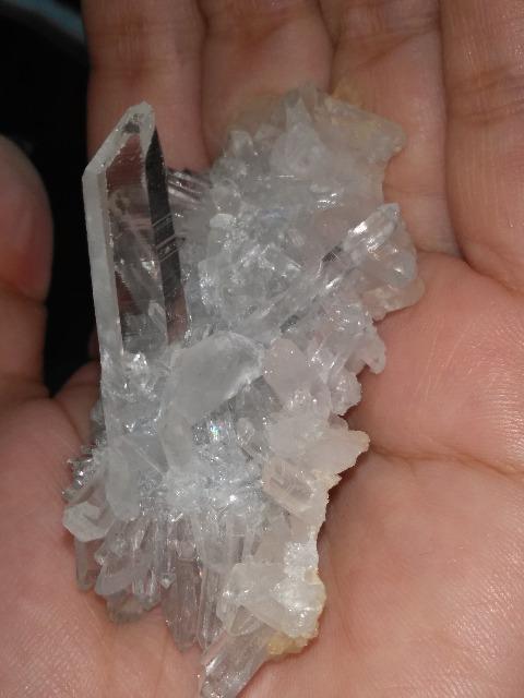 �q�}�����������~�j�N���X�^�[�@ �� �C���e���A/���C�t�� 