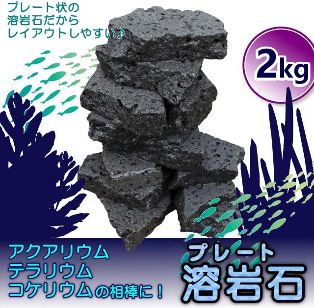 ボルケーノロック 溶岩石プレート 水槽用 アクアリウム用 < ペット/手芸/園芸  ボルケーノロック 溶岩石プレート 水槽用 アクアリウム用 < ペット/手芸/園芸の