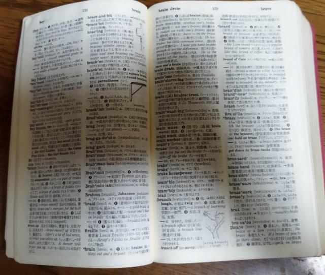 @VNEpaT@4Ł@t^EapT@͑dYҁ@Oȓ@1981N@23s  {/G 