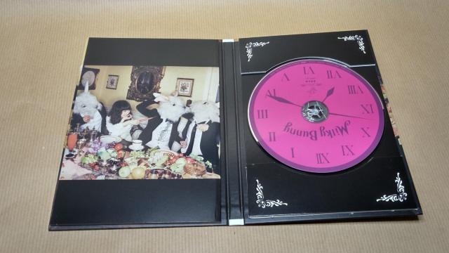 Milky Bunny v΂CD3  ^gObY 