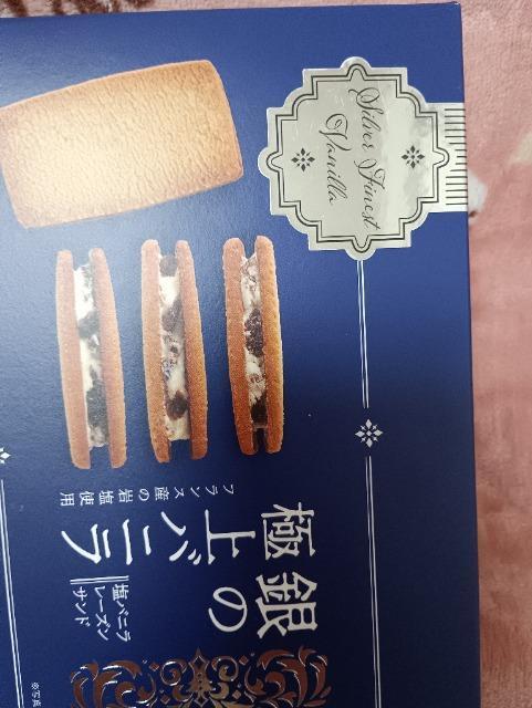 ��̋ɏ�o�j�����J���i