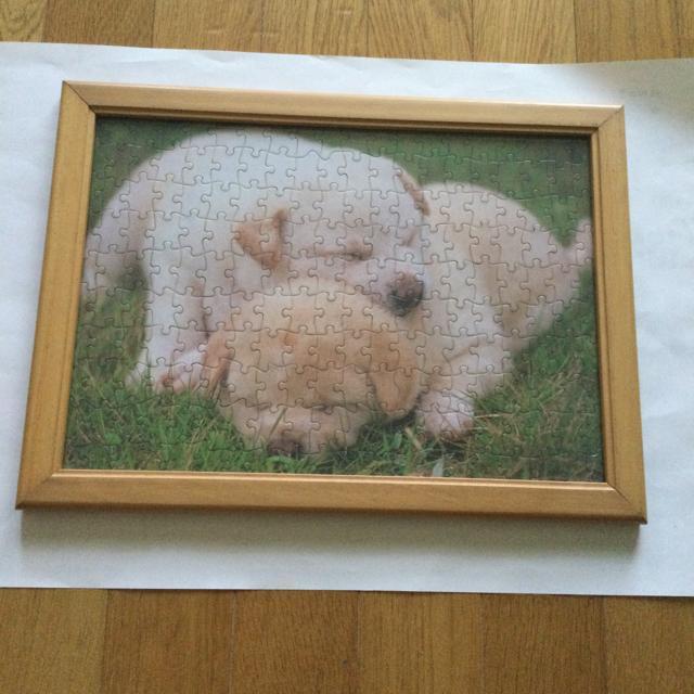 額縁+子犬2匹パズル < インテリア/ライフ  額縁+子犬2匹パズル  < インテリア/ライフの