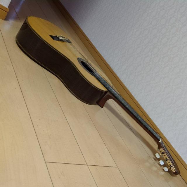 Yamaha /Grand concert �N���V�b�N�M�^�[ GC-5 �� �z�r�[�� 