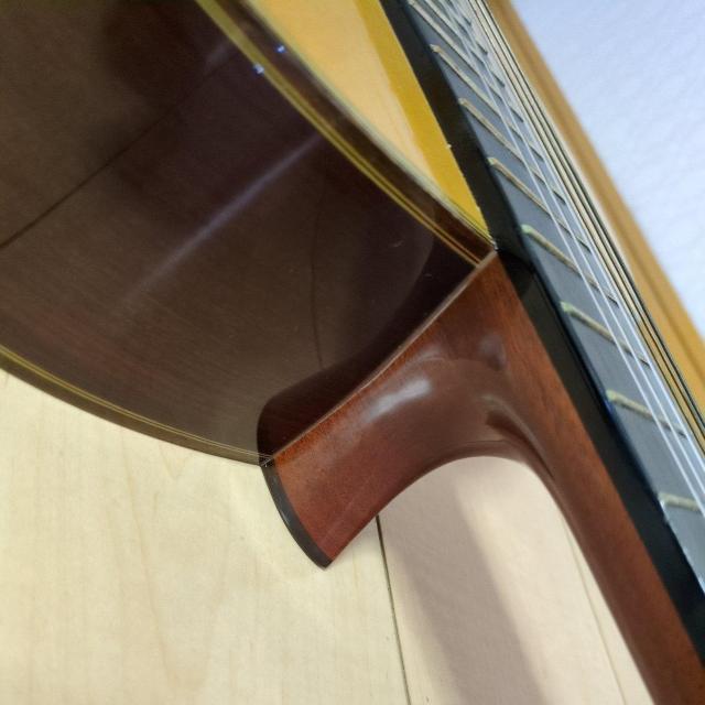 Yamaha /Grand concert �N���V�b�N�M�^�[ GC-5 �� �z�r�[�� 