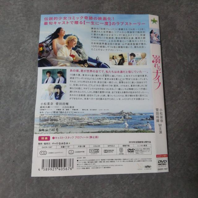 �f��DVD�w�M���i�C�t�x�����^������ �����ؓށ~���c����