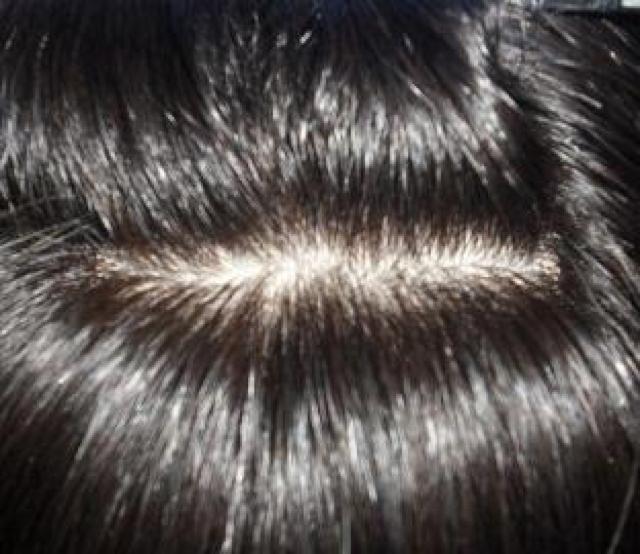 新商品 シルクネット サラサラバージンヘア 自然色に近いダークブラウン Mサイズ ミディアムロング < 女性ファッション  新商品 シルクネット サラサラバージンヘア 自然色に近いダークブラウン Mサイズ ミディアムロング < 女性ファッションの