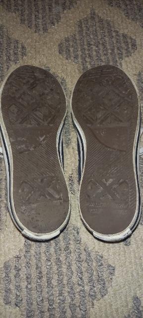 コンバース オールスター 23.5cm < ブランド  コンバース オールスター 23.5cm < ブランドの