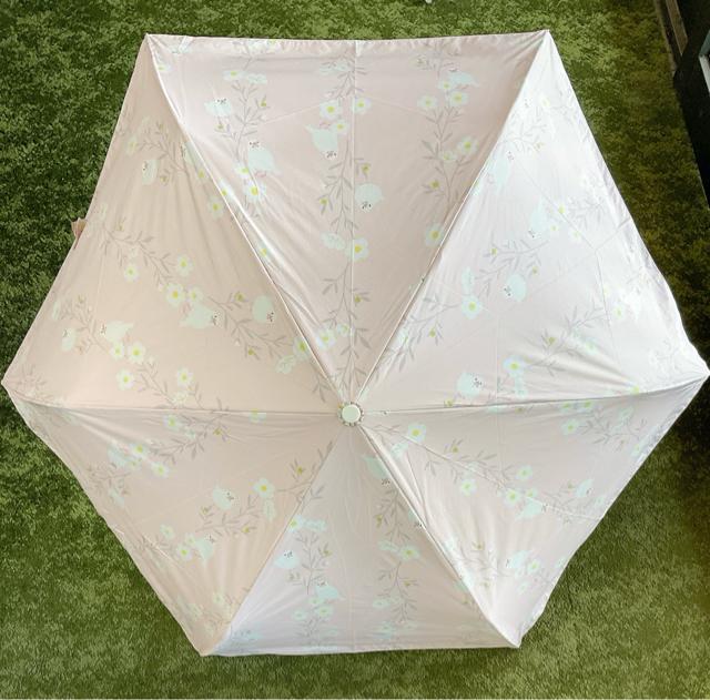 Vigpi Jp܂肽ݎP OXt@Co[ Ռ ϕ 55cm  sN  y D Jp  t@bV 