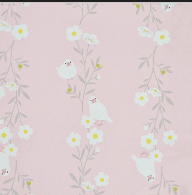 Vigpi Jp܂肽ݎP OXt@Co[ Ռ ϕ 55cm  sN  y D Jp  t@bV 