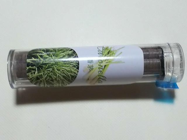 cocco���~�j���F�p  �_�`�����i�������O���X�j