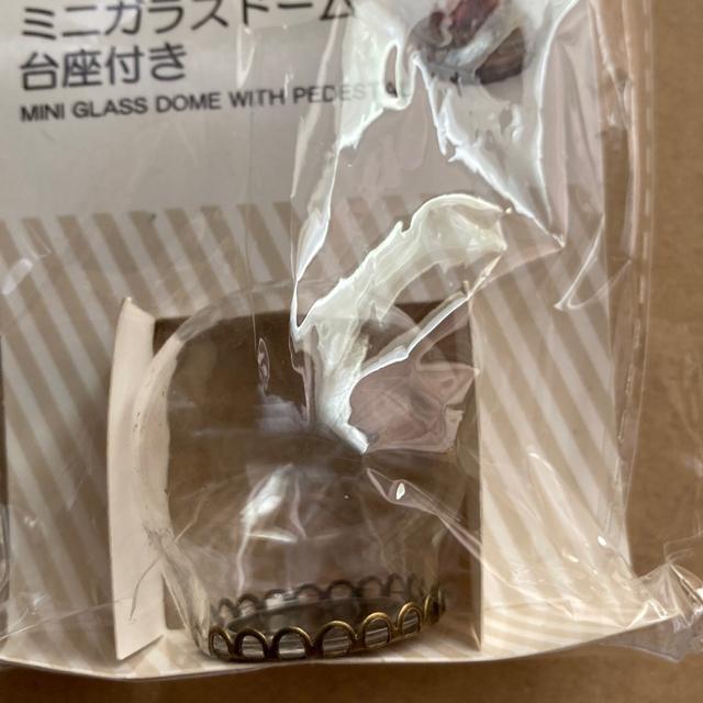 インテリア小物 ミニガラスドーム < インテリア/ライフ インテリア小物 ミニガラスドーム < インテリア/ライフの