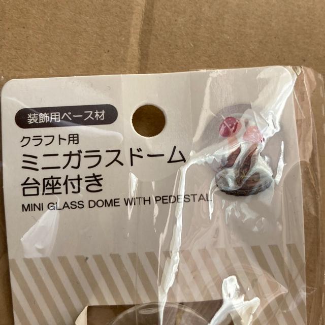 インテリア小物 ミニガラスドーム < インテリア/ライフ インテリア小物 ミニガラスドーム < インテリア/ライフの